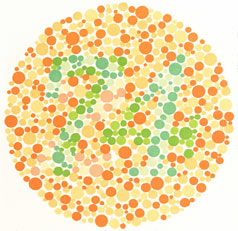 Imagem que mostra o teste de Ishihara onde pessoas com daltonismo vêem o número 21 ao invés do 74.